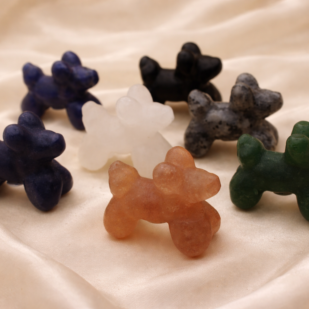 Ballonhund – Freude & Verspieltheit