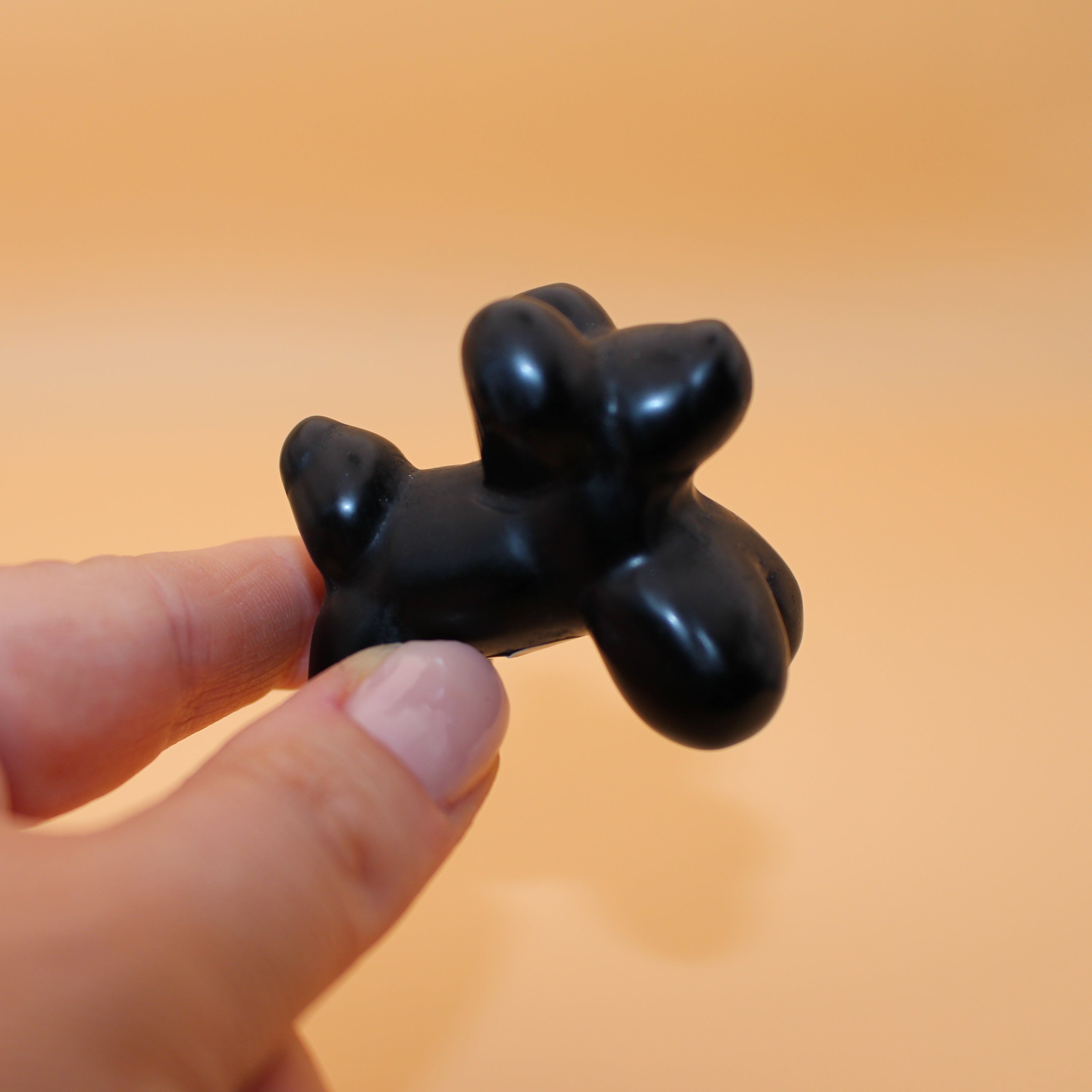 Ballonhund – Freude & Verspieltheit