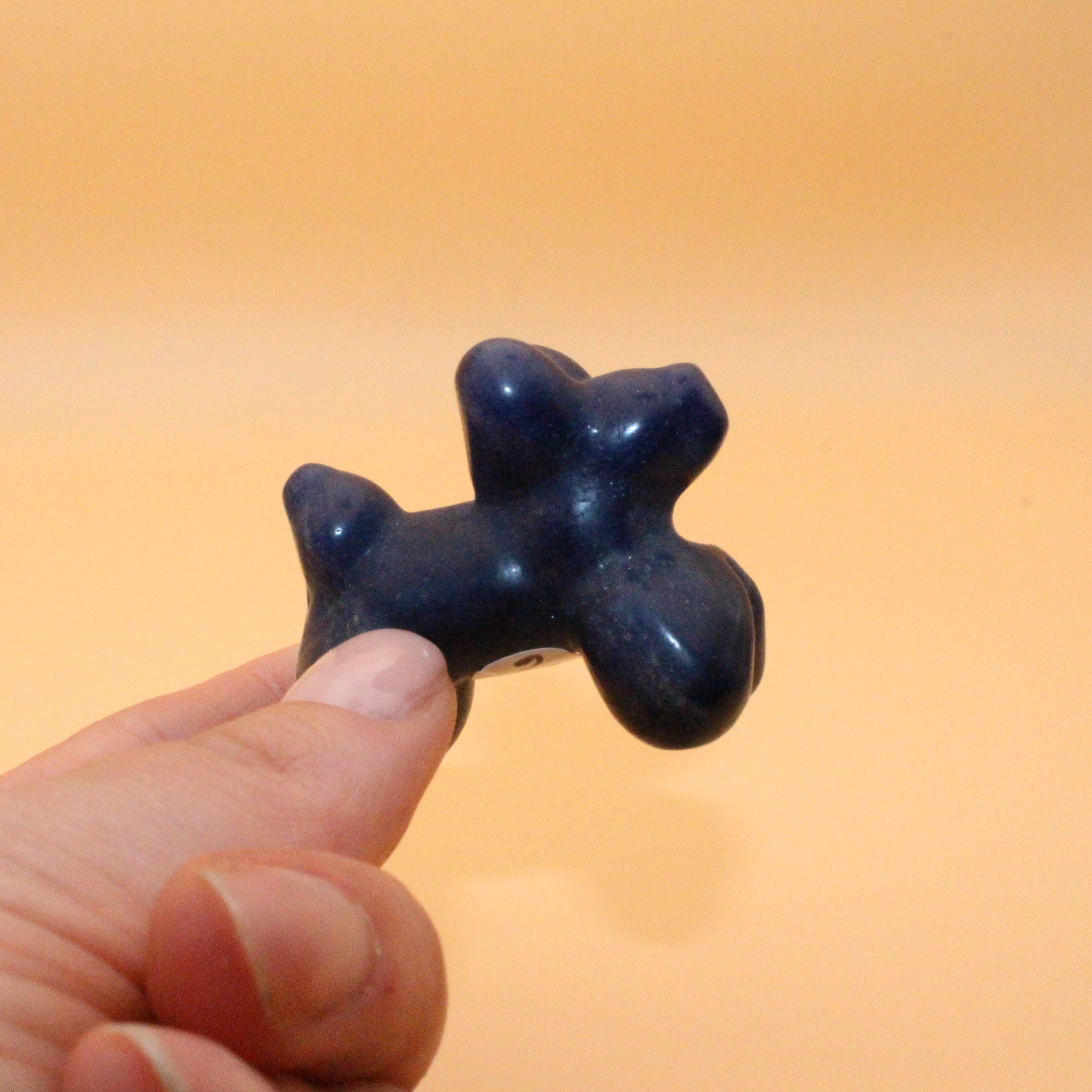 Ballonhund – Freude & Verspieltheit