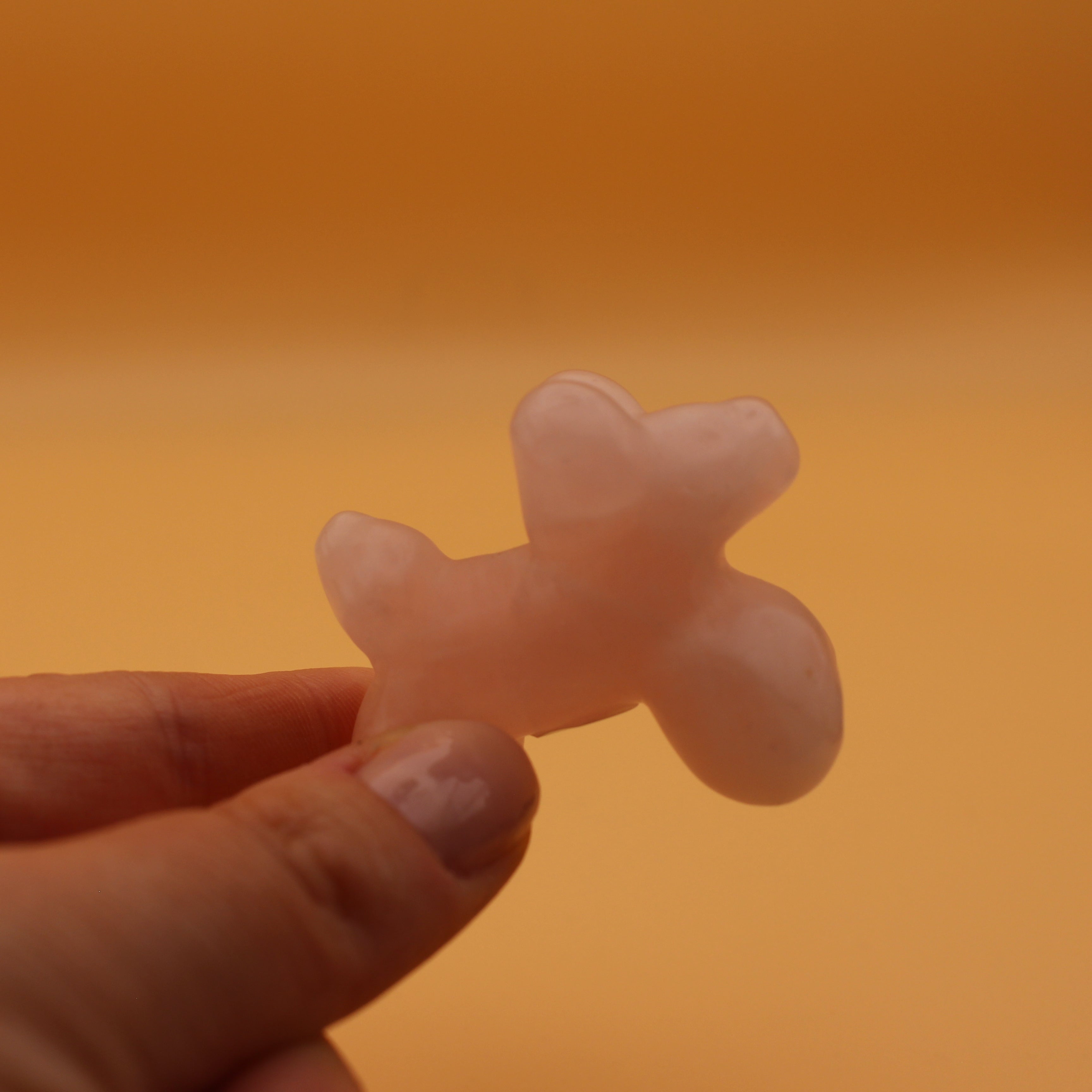 Ballonhund – Freude & Verspieltheit