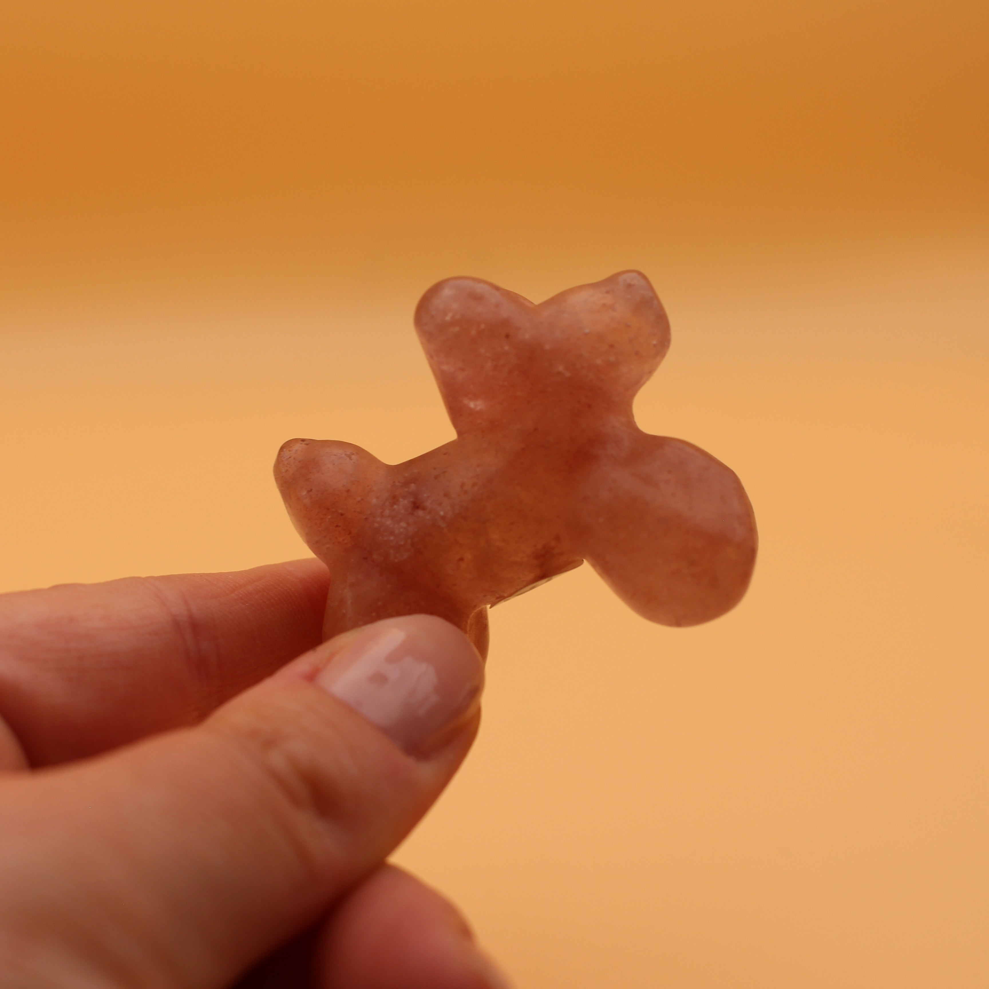 Ballonhund – Freude & Verspieltheit