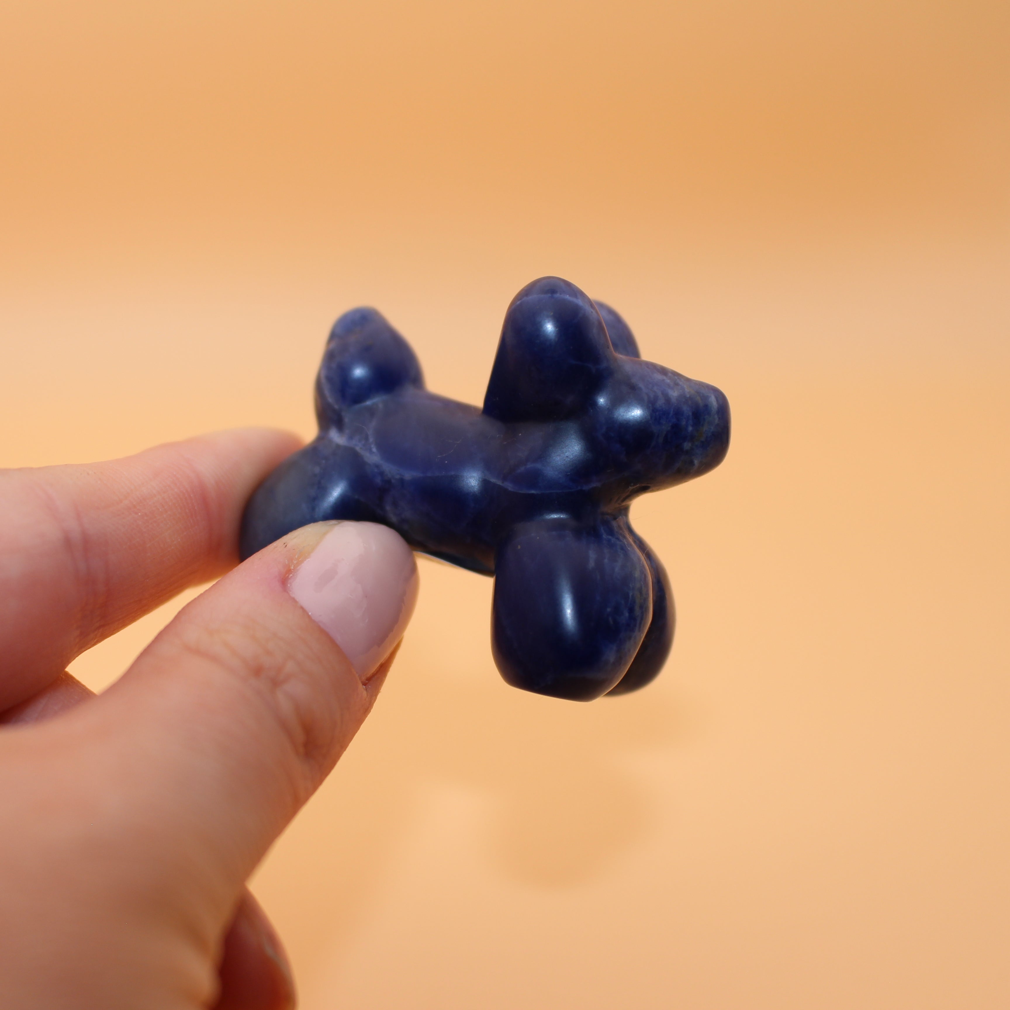 Ballonhund – Freude & Verspieltheit