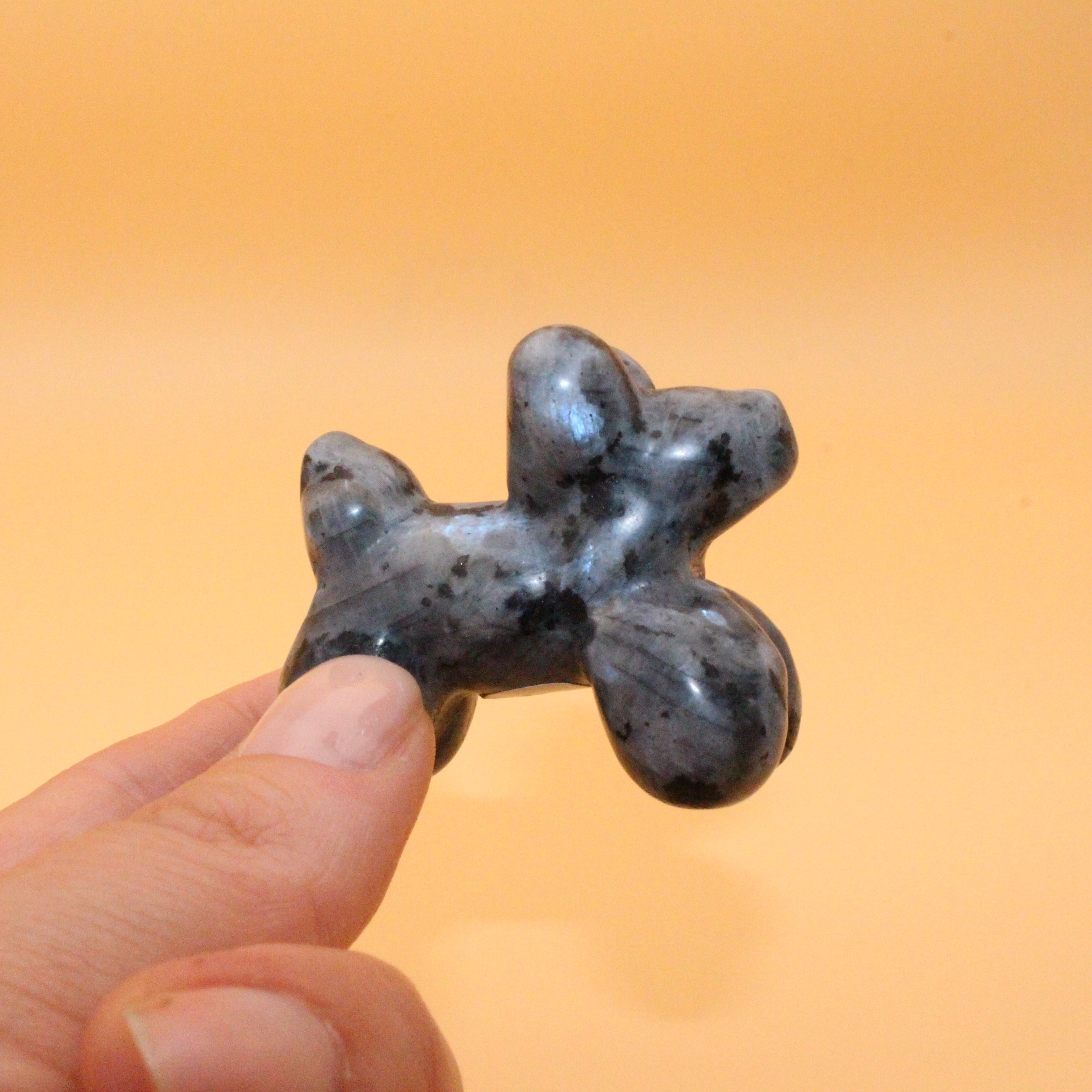 Ballonhund – Freude & Verspieltheit