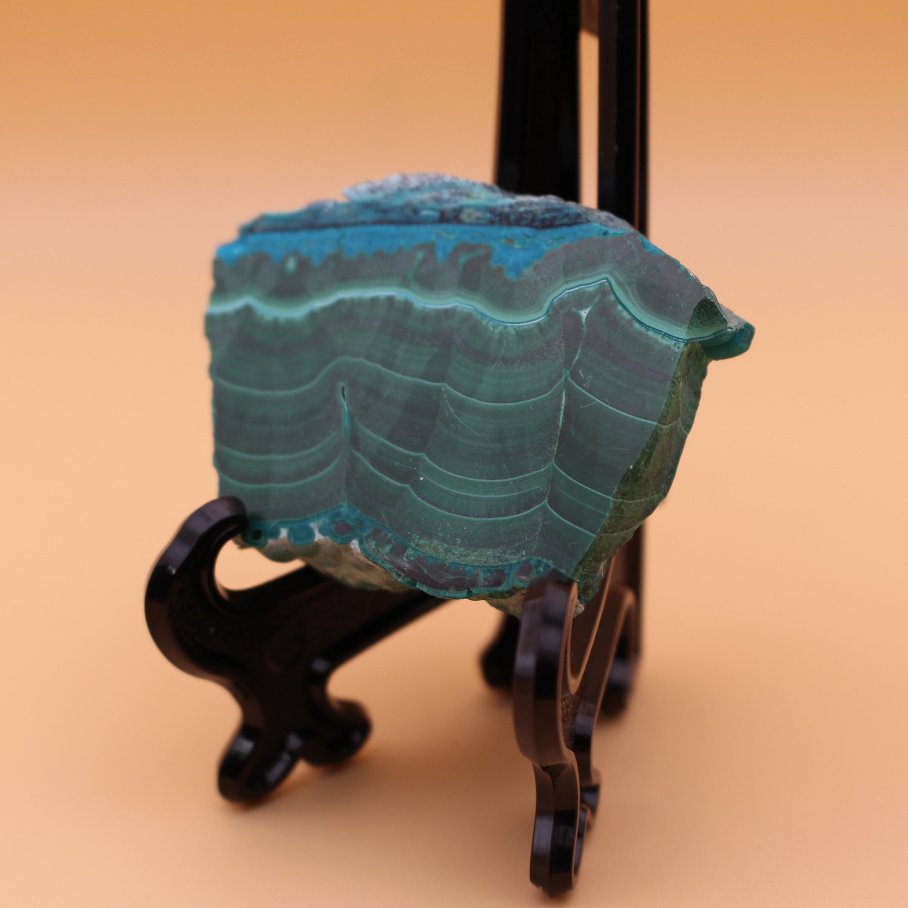 Chrysocolla Platte – Türkisgrüne Kunstwerke & energetische Balance