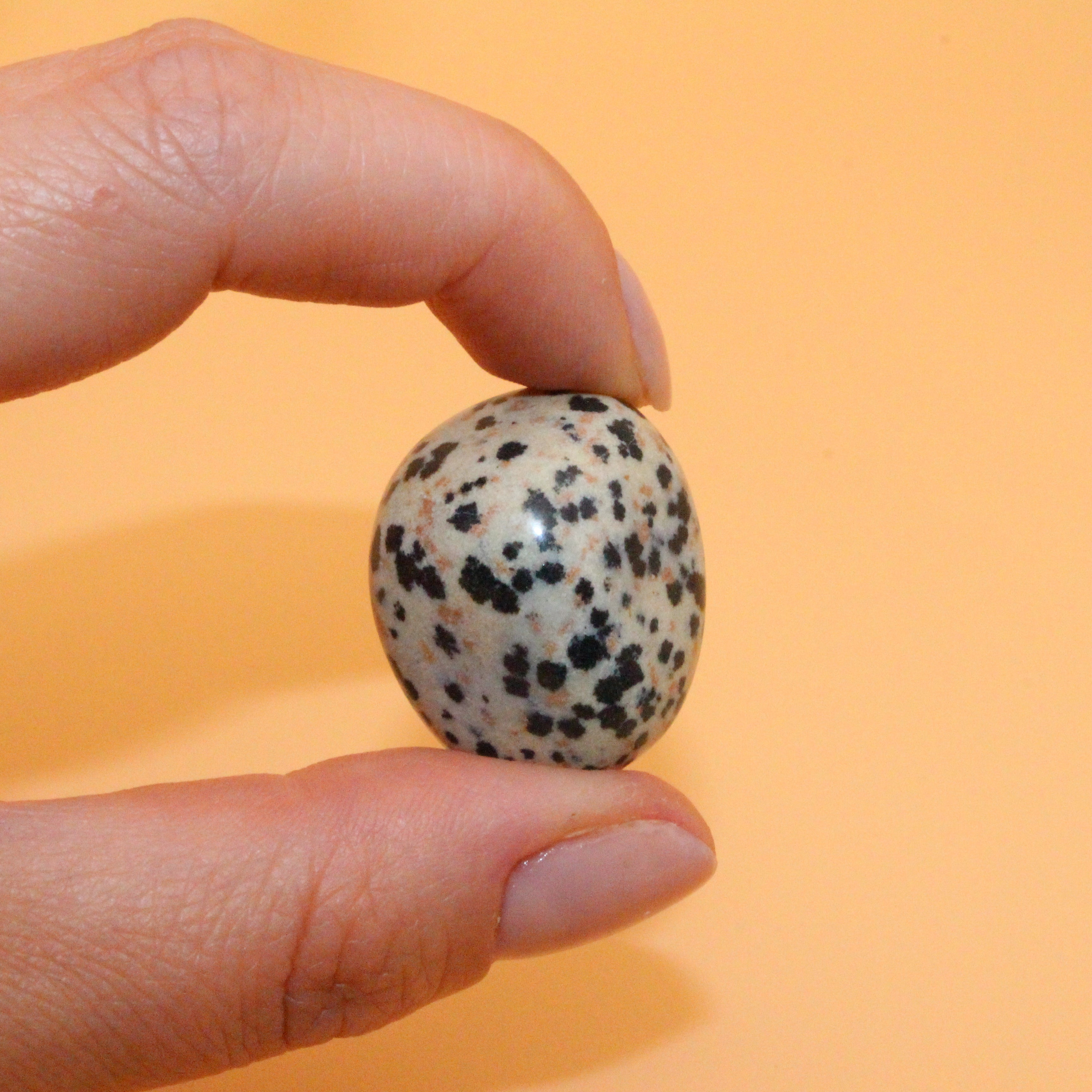 Dalmatiner Jaspis Trommelstein – Stein der Lebensfreude & Erdung