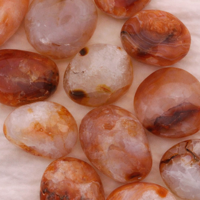 Karneol Palmstein – Lebenskraft, Kreativität & energetische Erdung