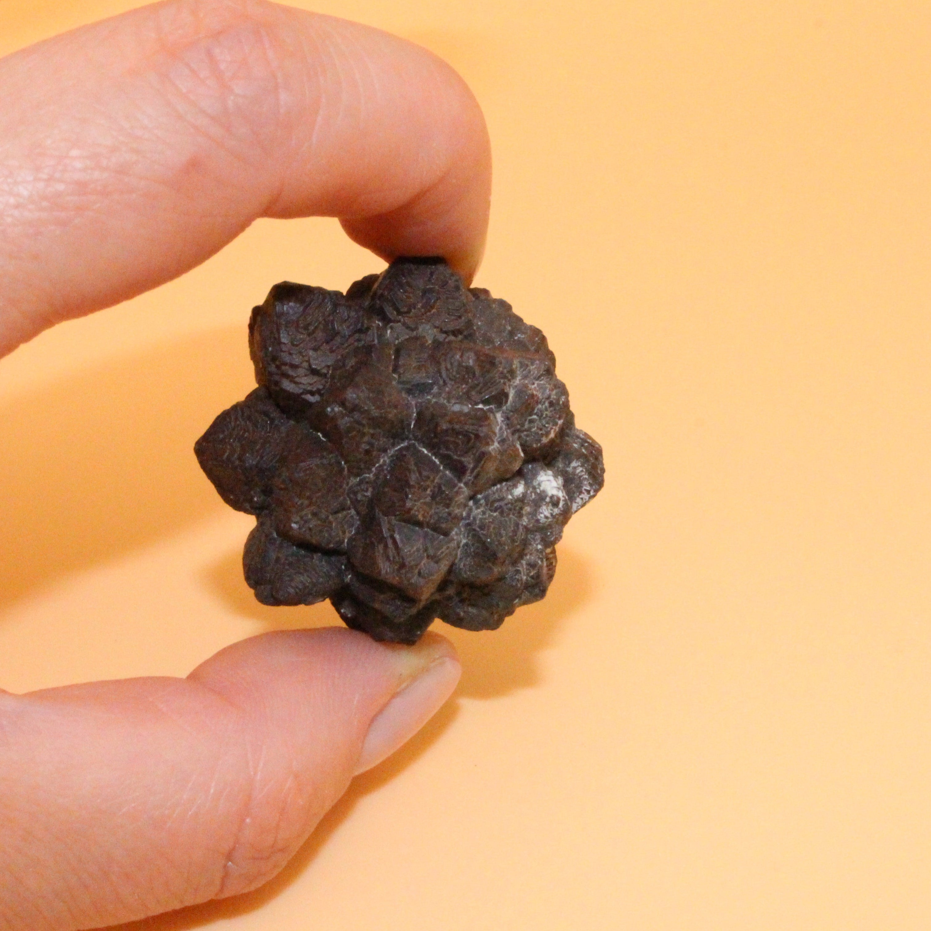 Limonit‑Pseudomorph nach Pyrit – Erdung & Transformation in würfelförmiger Natur