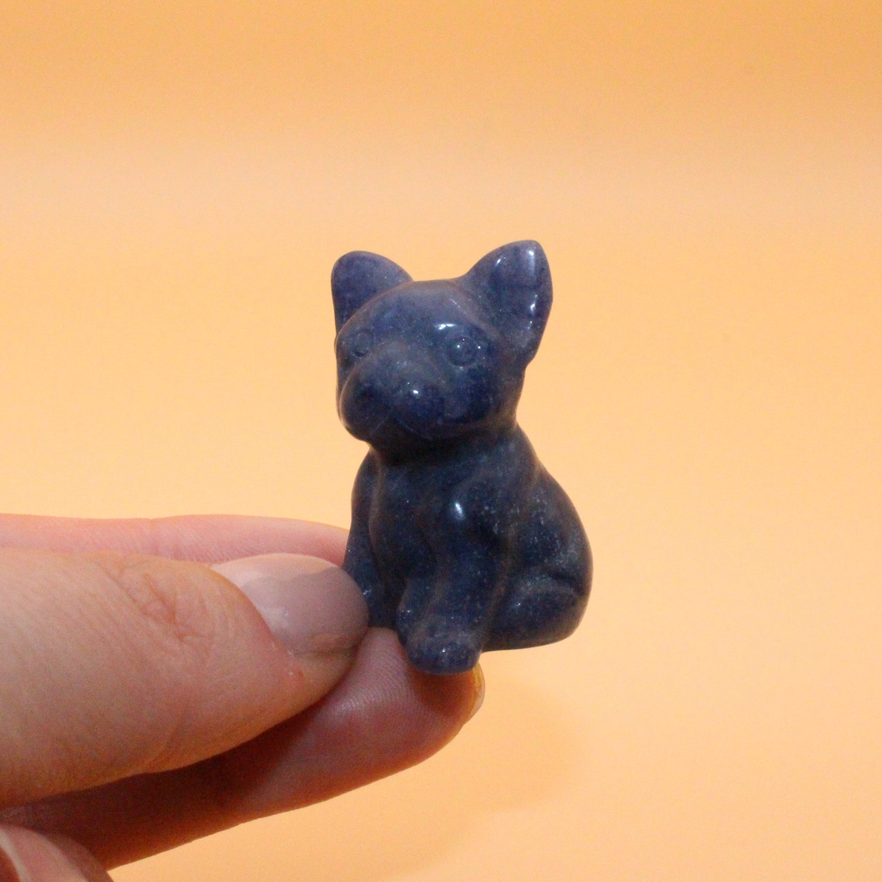 Mini Bulldogge – Treue, Stärke & Schutz