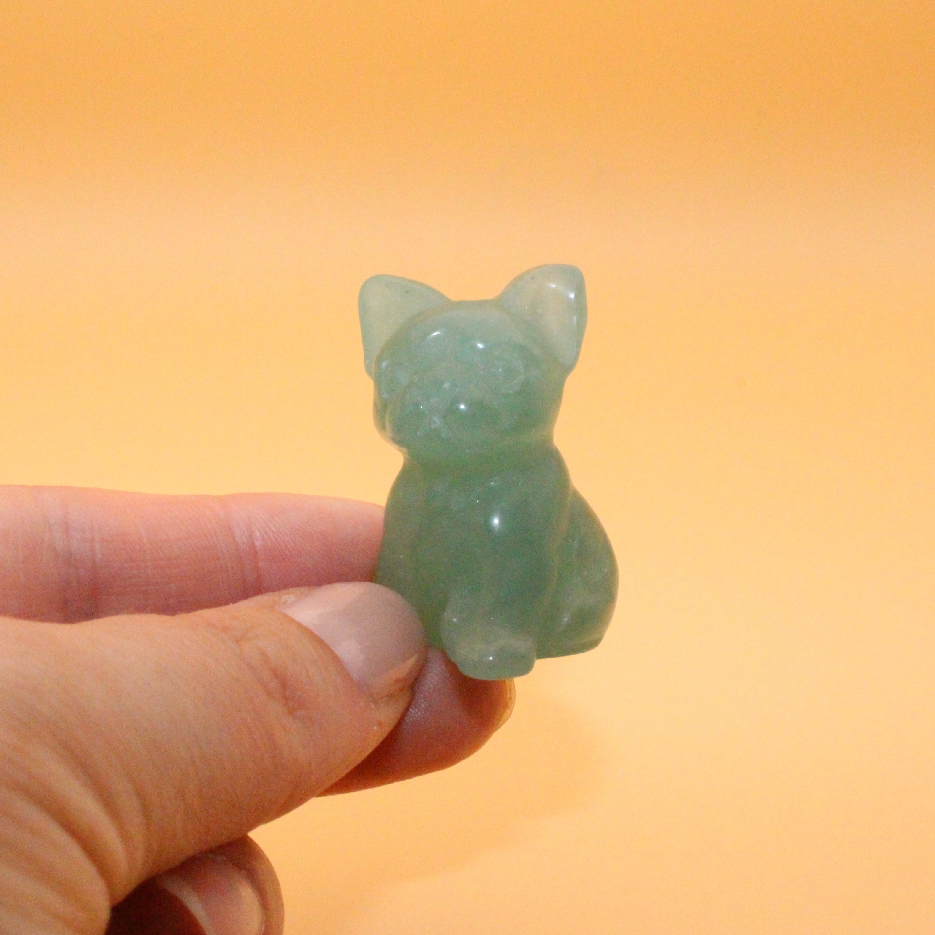 Mini Bulldogge – Treue, Stärke & Schutz