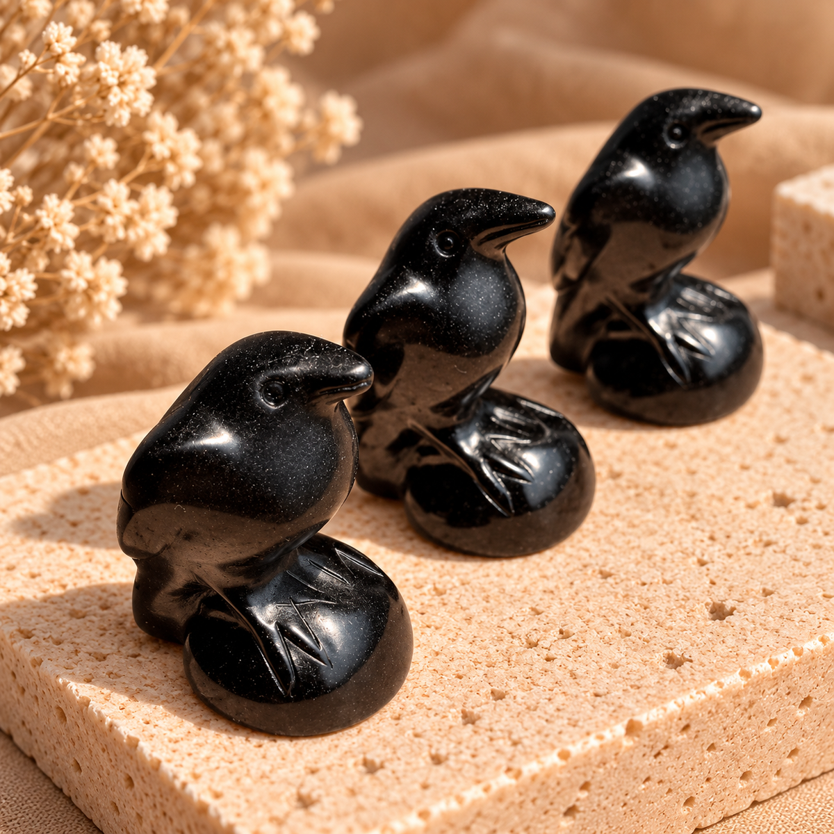 Obsidian Rabe