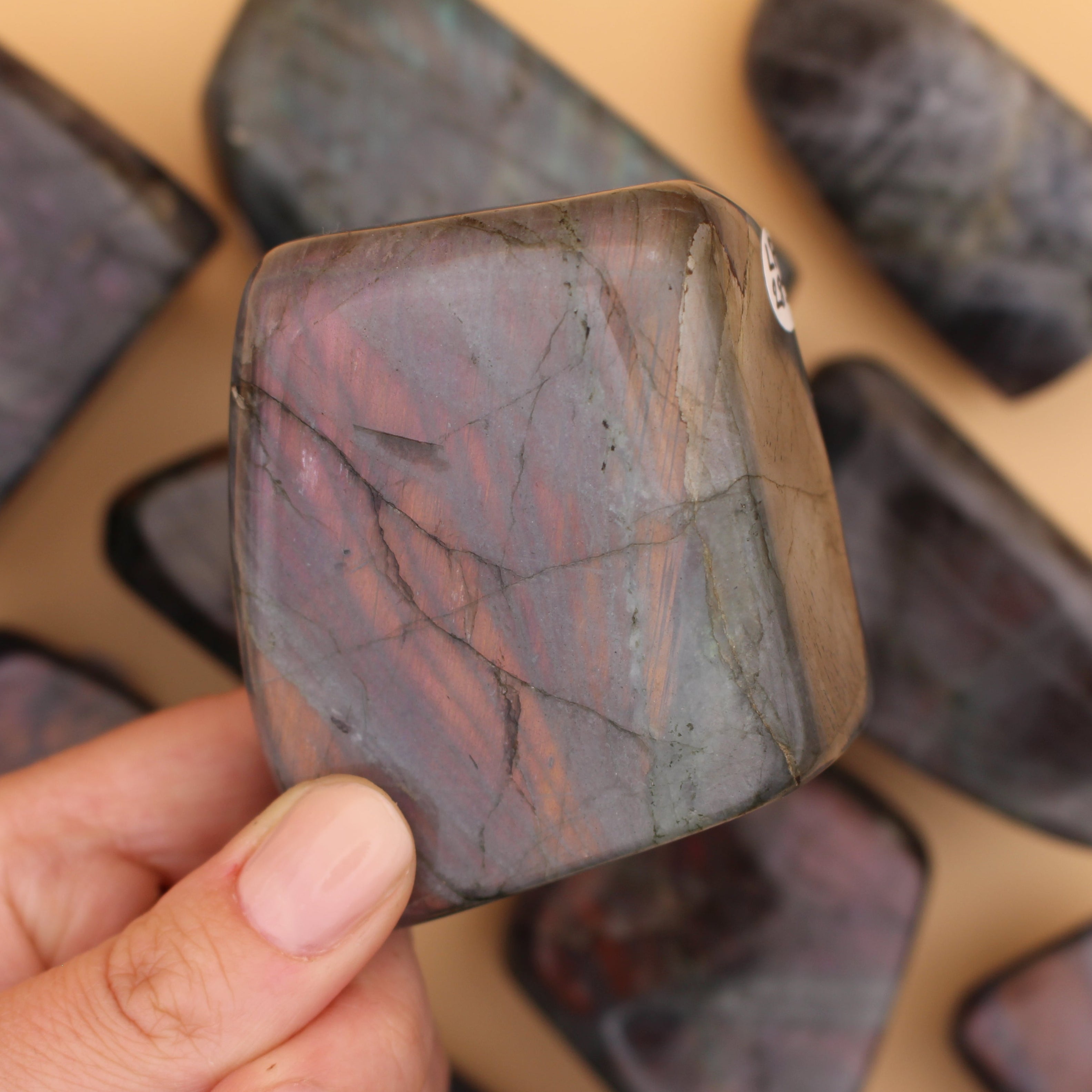 Purple Flash Labradorit Freeform – Seltene Farbspiele & spirituelle Transformation