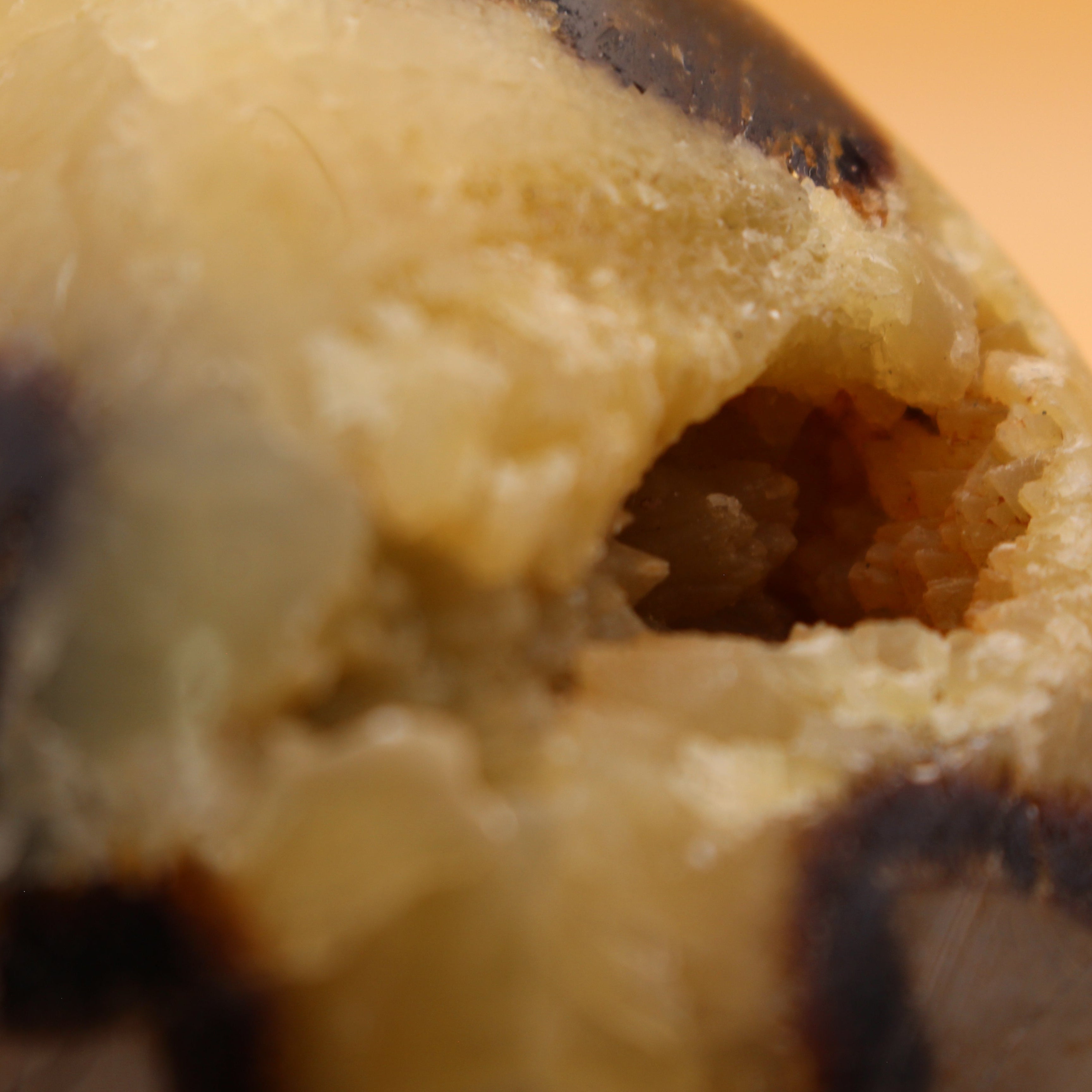 Septarien-Freeform – Erdende Kraft & uralte Weisheit in einzigartiger Struktur