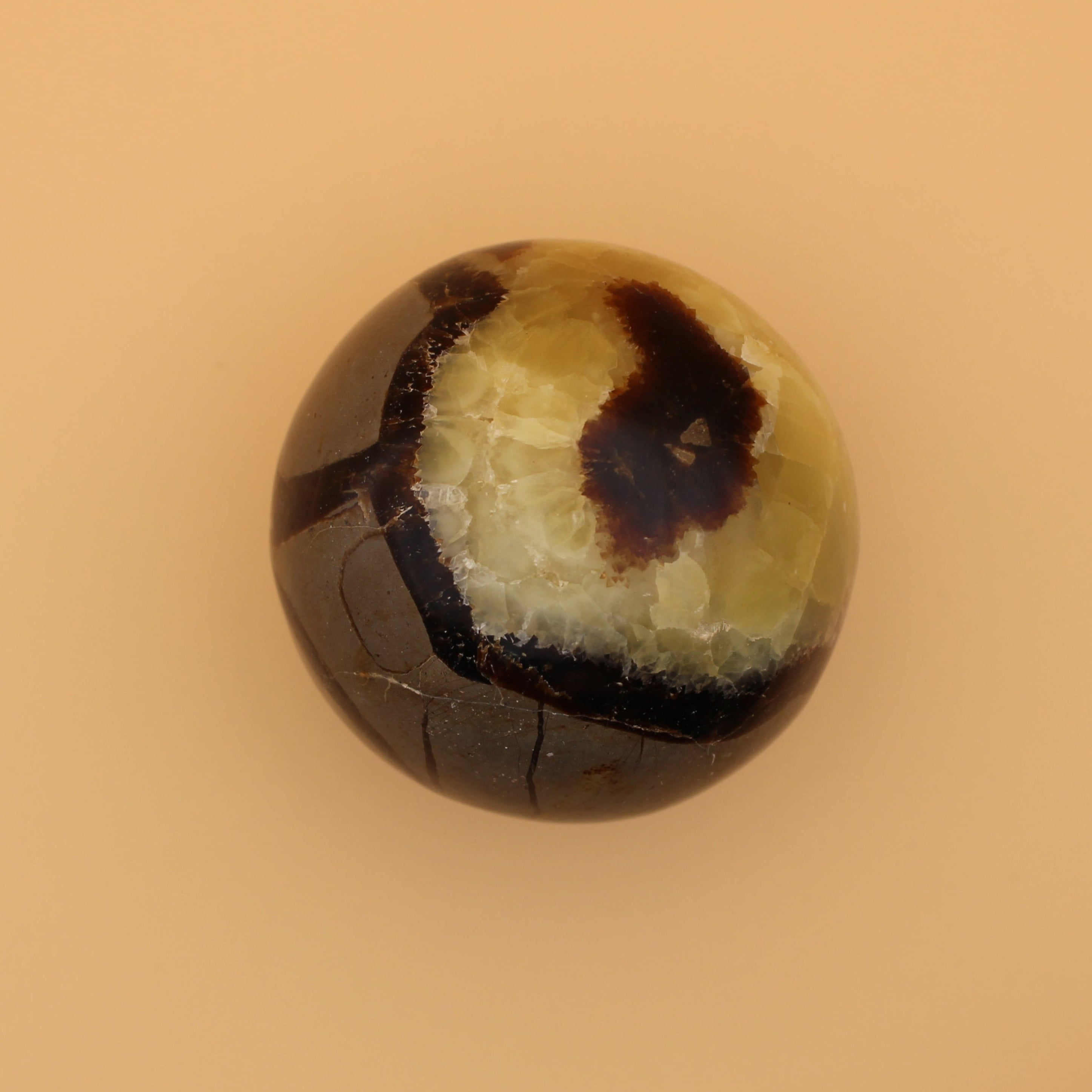 Septarien-Kugel – Erdende Kraft & uralte Weisheit in einzigartiger Struktur