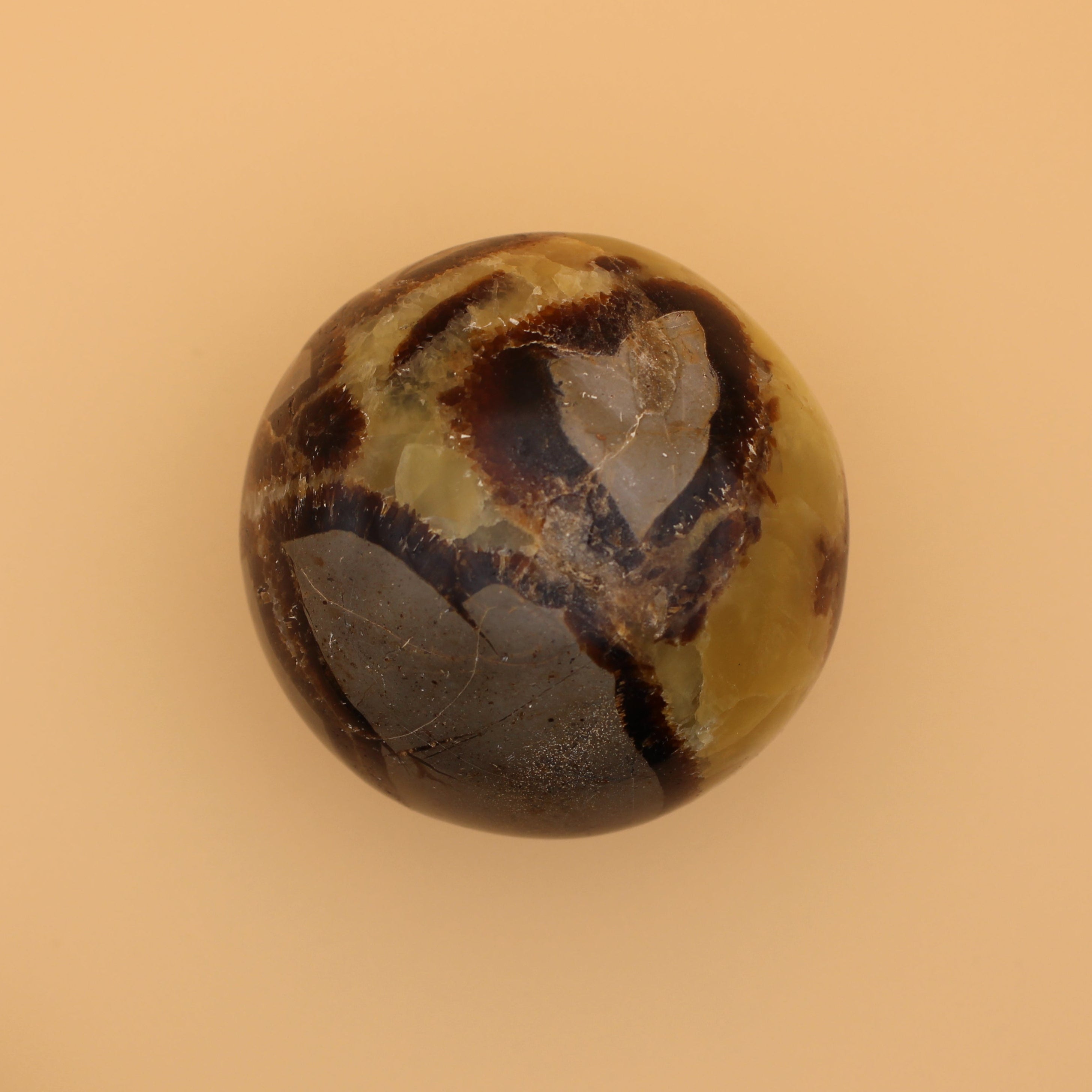 Septarien-Kugel – Erdende Kraft & uralte Weisheit in einzigartiger Struktur